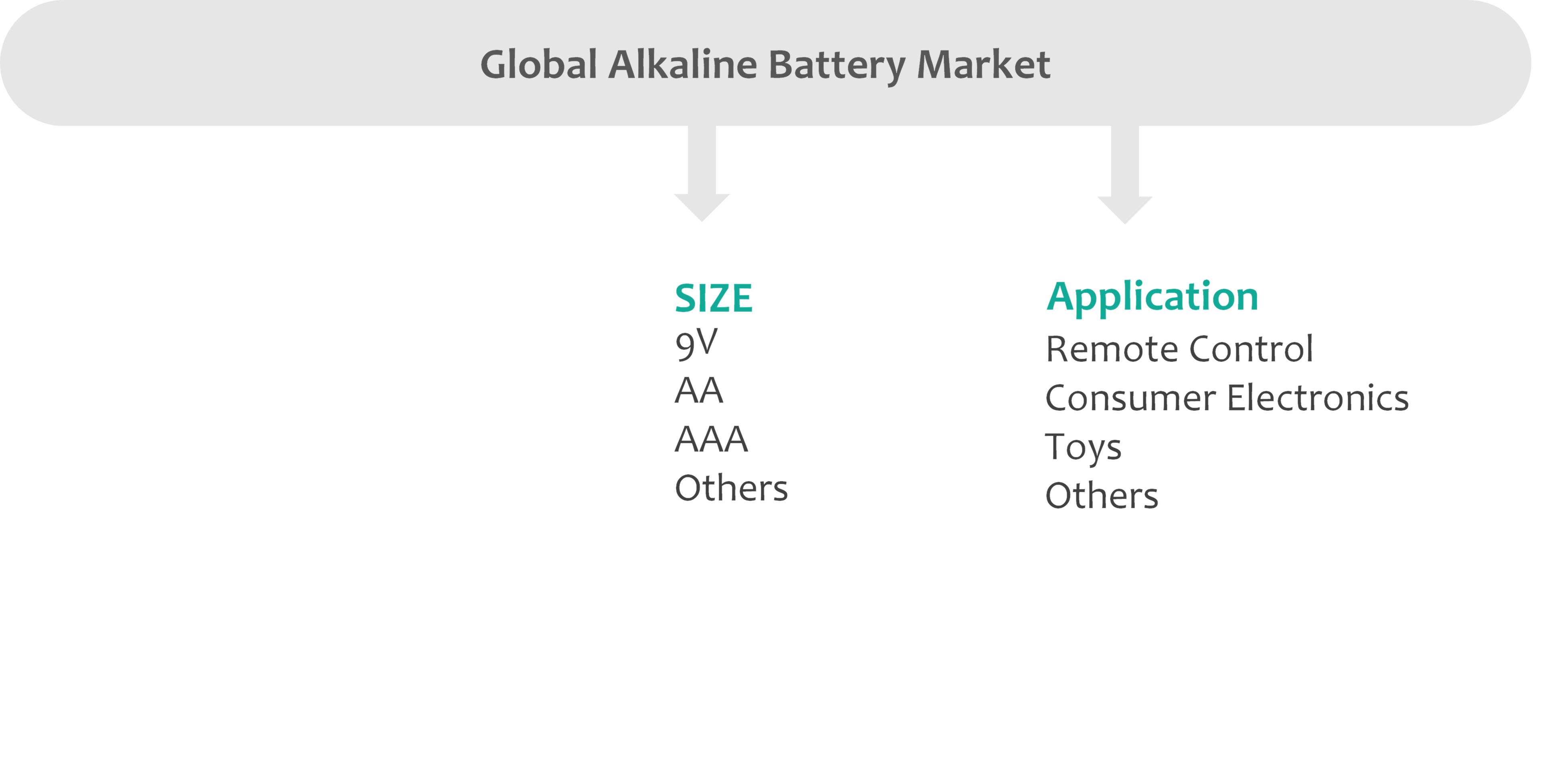 Alkaline Battery Market Segmentation