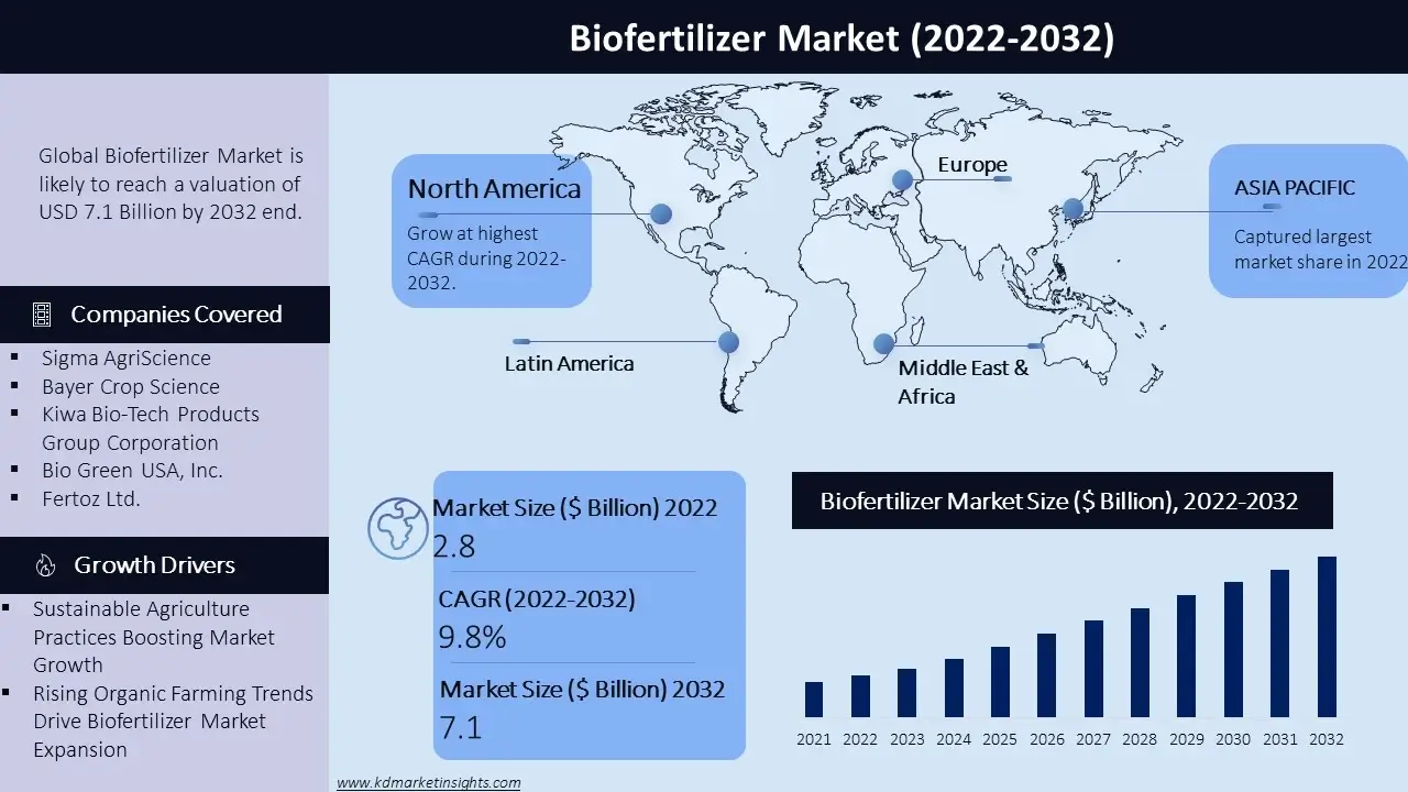 Biofertilizer Market Graph