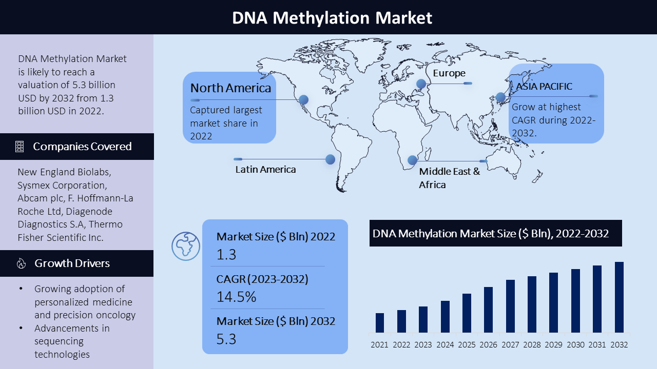 DNA Methylation Market