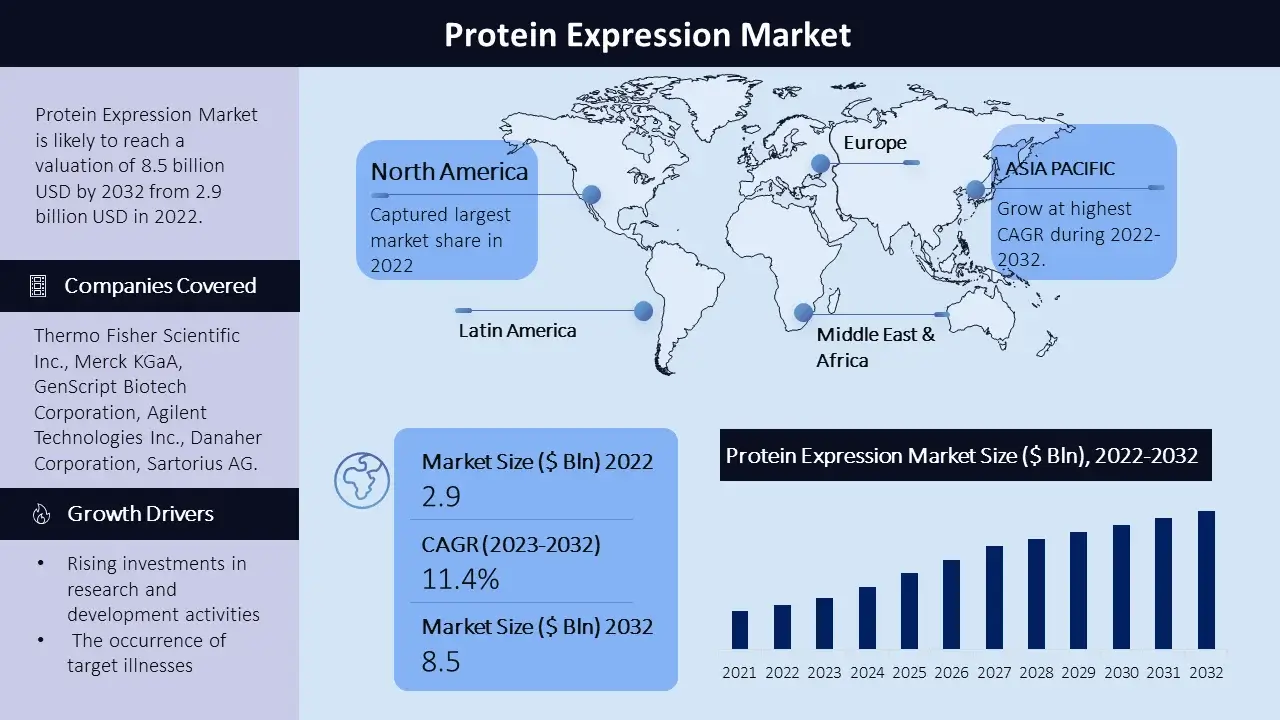 Protein Expression Market